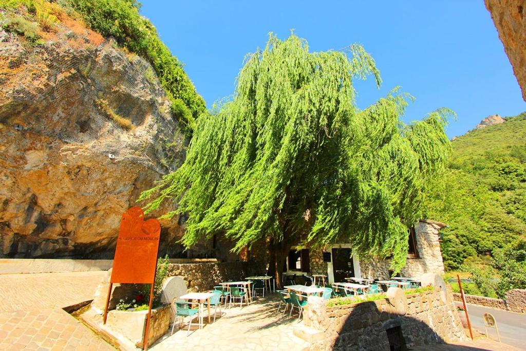 Hostellerie Du Vieux Moulin Duilhac Εξωτερικό φωτογραφία